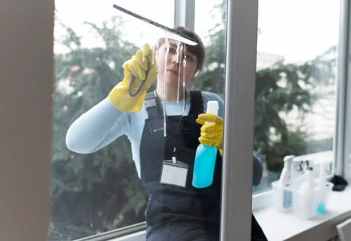 Nettoyage de vitres intérieures et extérieures à Chasnais